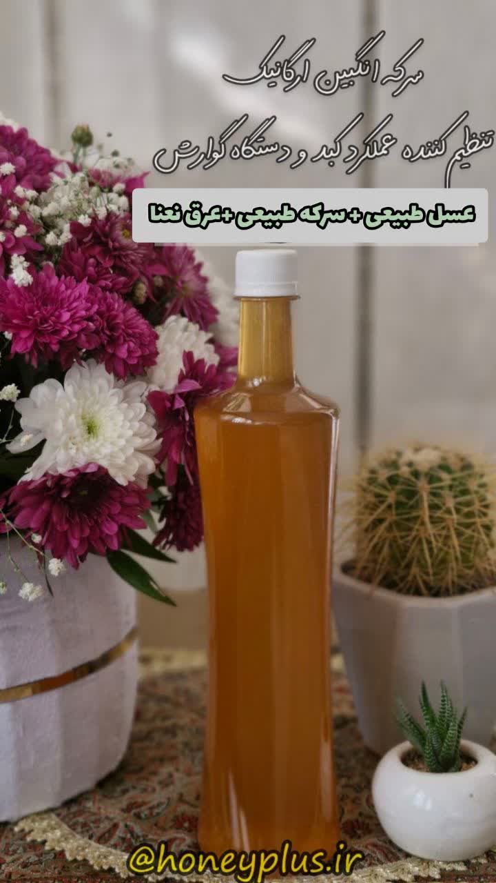 سرکه انگبین( با سرکه انگور)- محصول هانی پلاس