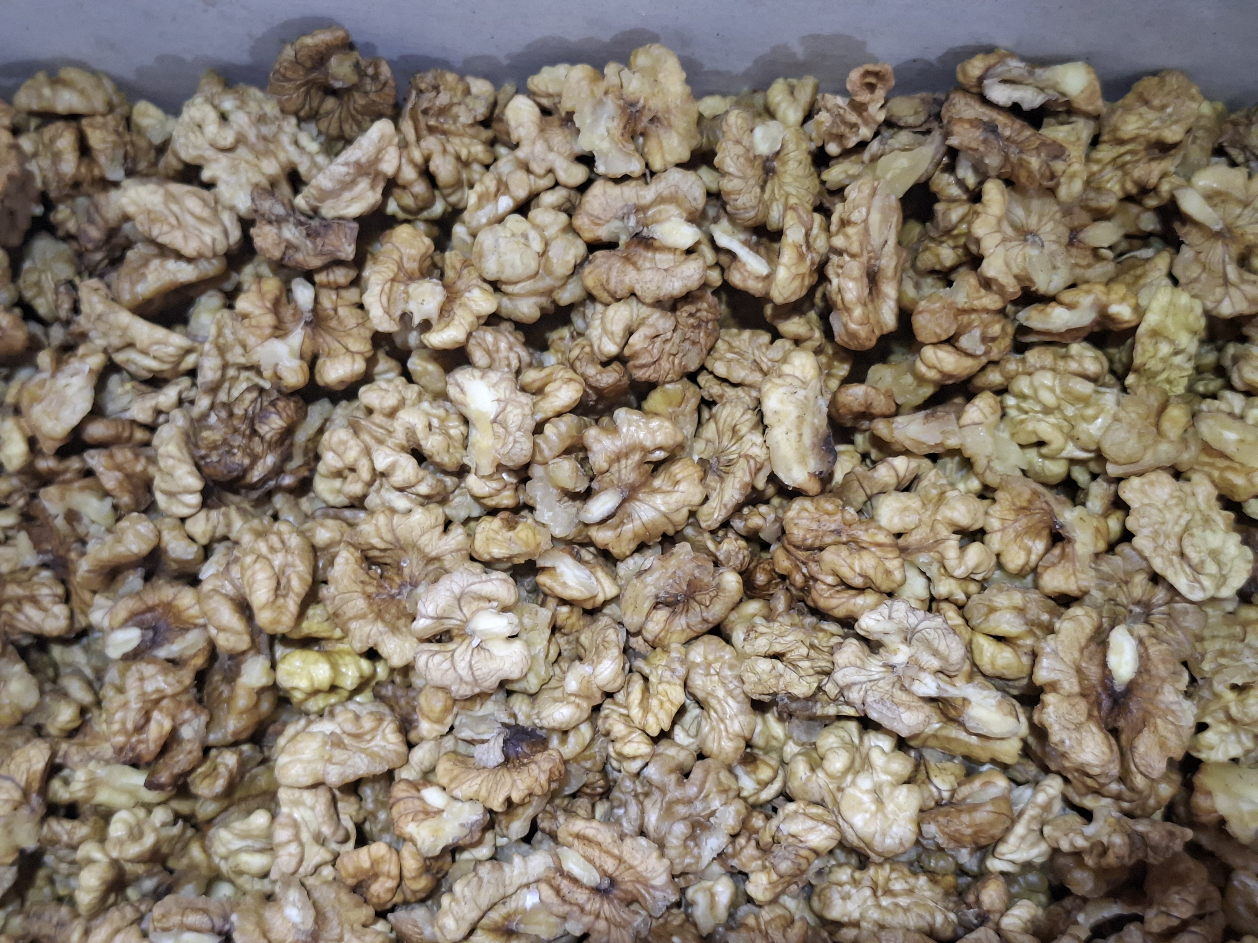 مغز گردوی ایرانی