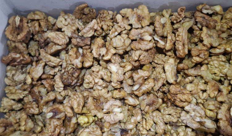 مغز گردوی ایرانی