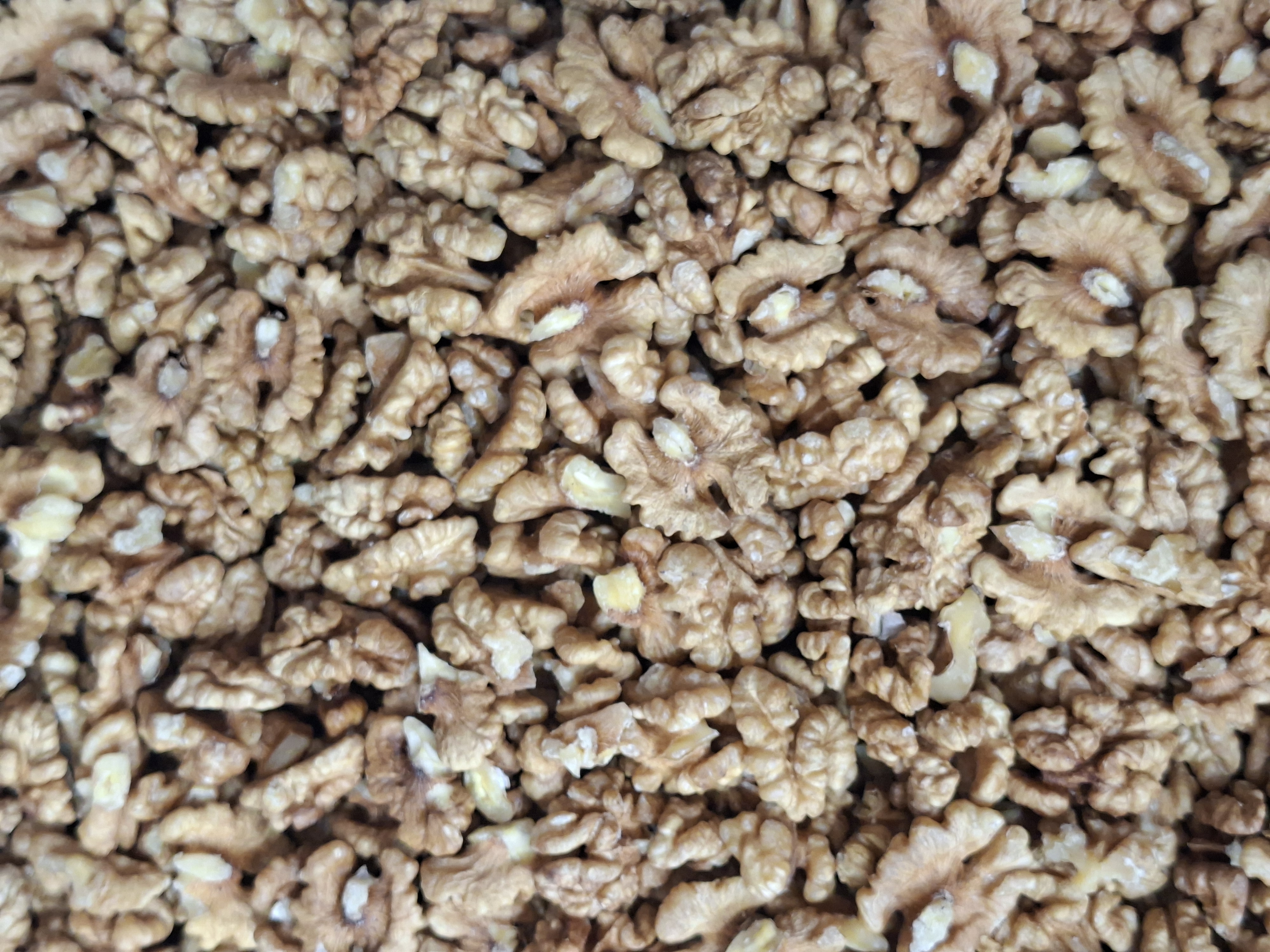 مغز گردو بلغاری