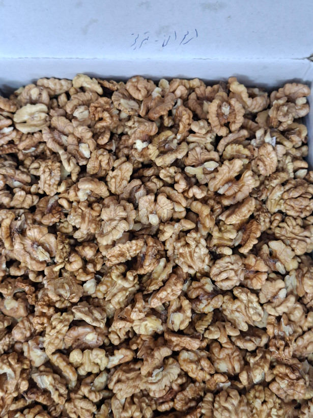مغز گردوی ایرانی