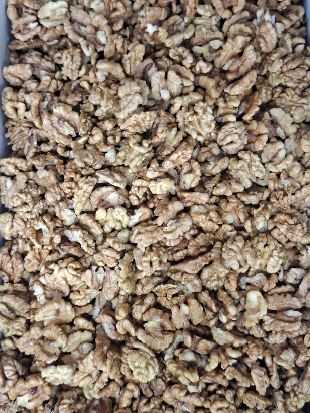 مغز گردوی ایرانی